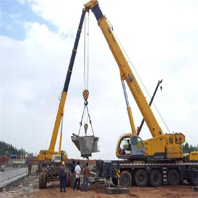 大英小型吊机出租电话|厂房设备吊装方案|24小时服务覆盖